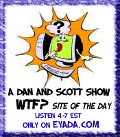 The Dan and Scott Show WTF? Site of the Day Award