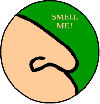 Smell Me! button