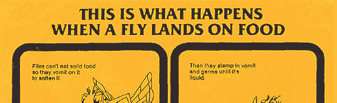 Fly