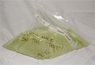 Bag of Urine