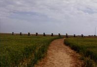Cadillac Ranch